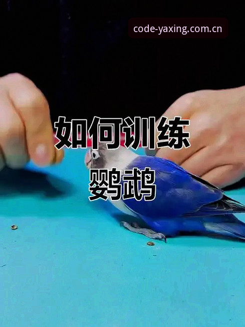 每一行代码都是原创信念YAXING亚星登录页 一位技术老鸟的实战经验:为什么我说“每一行代码都是原创信念YAXING亚星登录页”才是真功夫